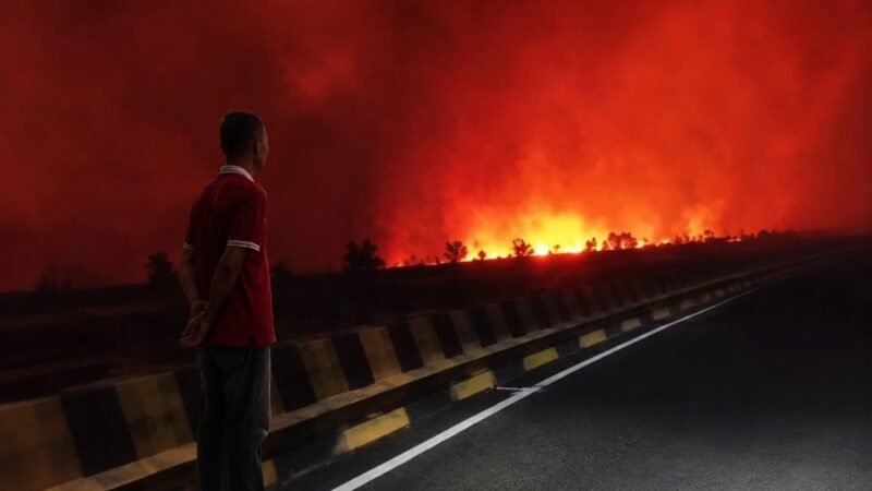 VIRAL VIDEO  Api Membara Dekat Jembatan Nusa Pulang Pisau, Karhutla Kembali Jadi Sorotan