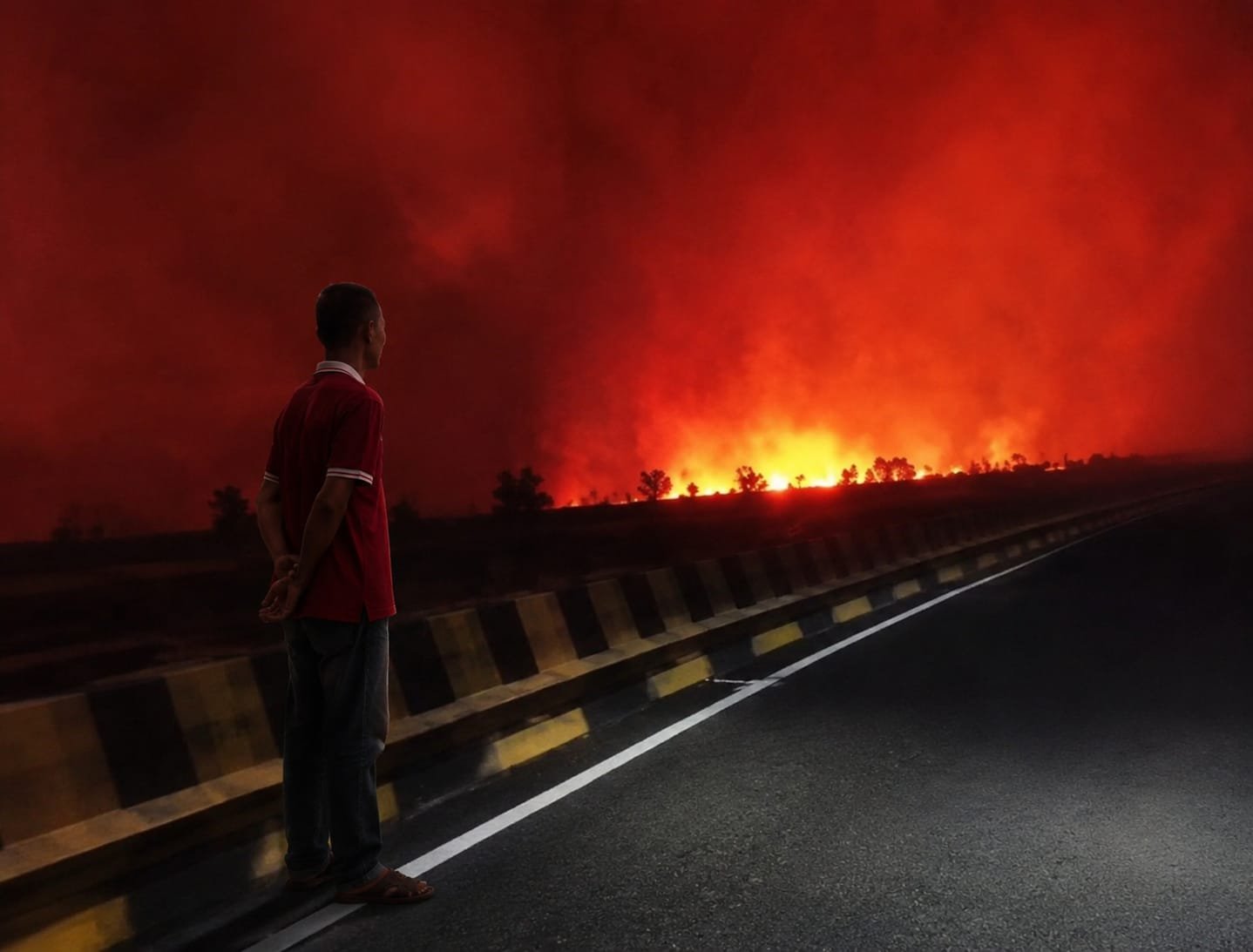 VIRAL VIDEO  Api Membara Dekat Jembatan Nusa Pulang Pisau, Karhutla Kembali Jadi Sorotan