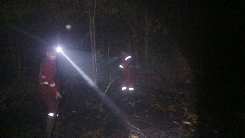 Karhutla di Kuala Kurun Bakar 4,52 Hektare, Tim Gabungan Berjibaku Padamkan Api