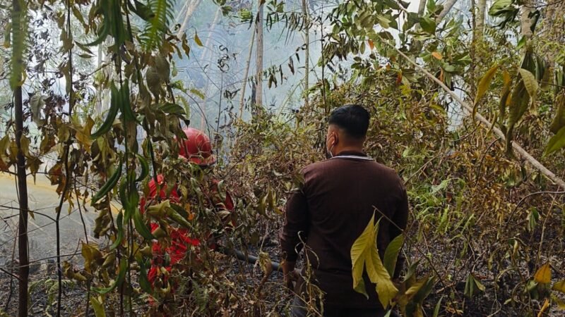 Karhutla di Kuala Kurun Terbakar 4,52 Hektare, Tim Gabungan Padamkan Api