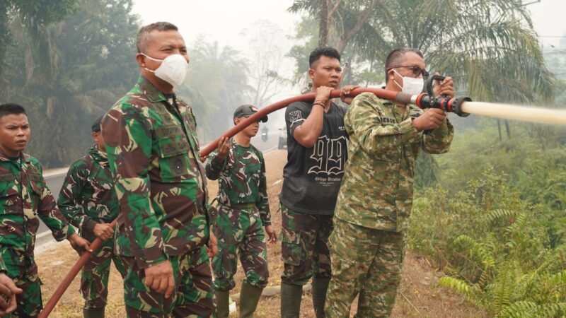 KASDAM XXII/TB TINJAU LANGSUG PENANGANAN KARHUTLA DI KM 21 PALANGKA RAYA