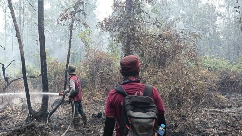 Karhutla Kanal C Kapuas, TTA Group Dukung Pemadaman hingga Pendinginan Lahan
