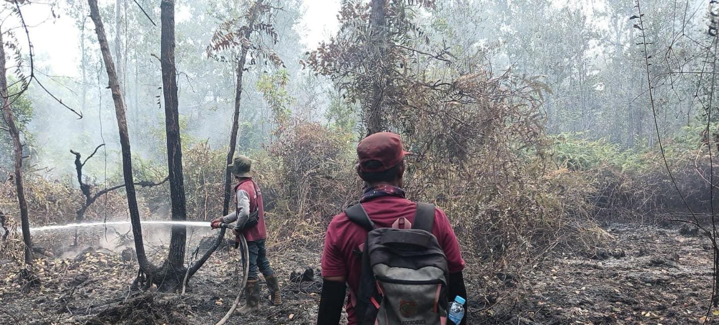 Karhutla Kanal C Kapuas, TTA Group Dukung Pemadaman hingga Pendinginan Lahan