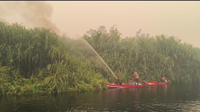Lima Anggota MPA Sabaru Kembali Selamat Usai Bertugas Tangani Karhutla di Hutan Sebangau
