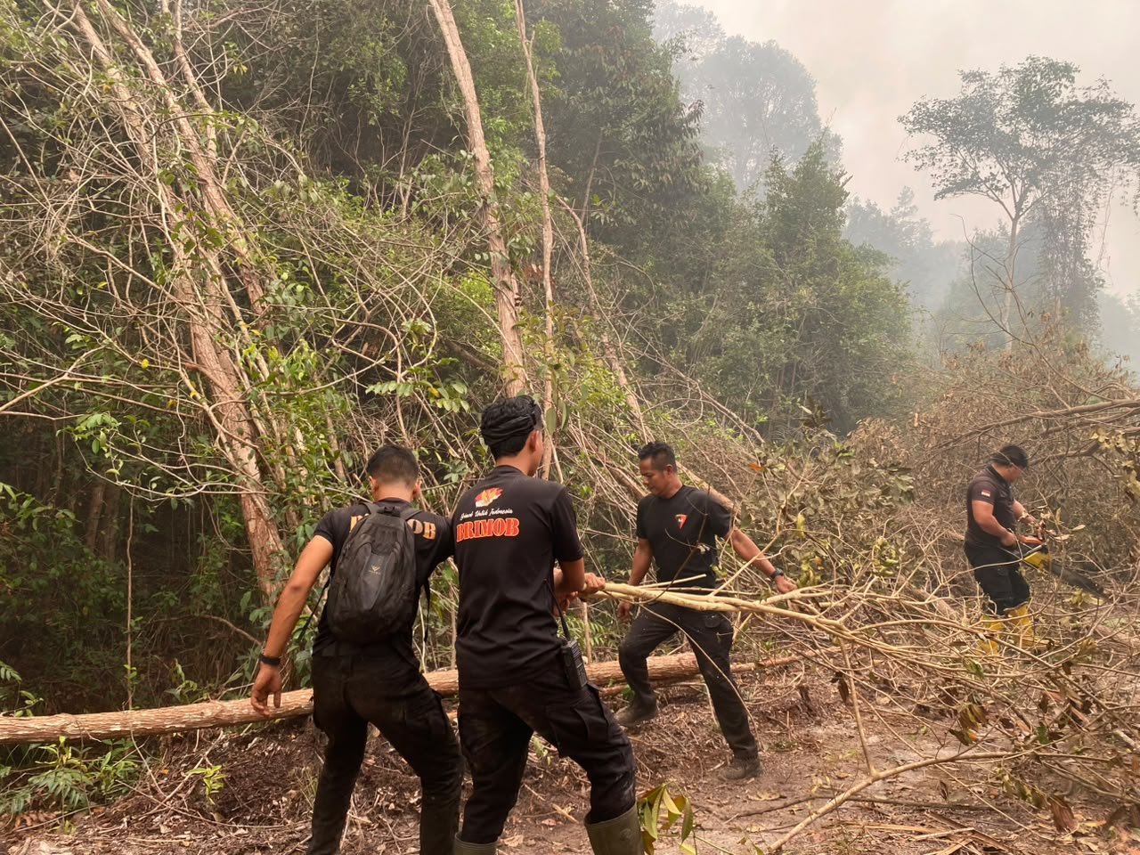 Satbrimob Polda Kalteng Padamkan Api Sekaligus Buka Akses Jalan di Km 36 Tjilik Riwut